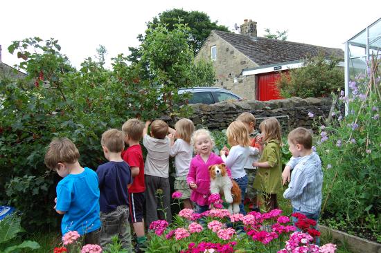 gardening in the vegetable garden