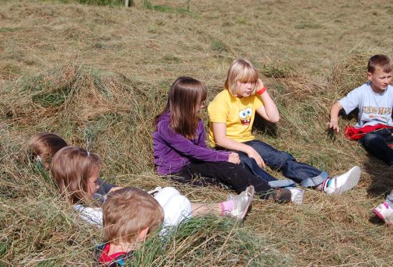 Children in a hay meadow helping with the hay making