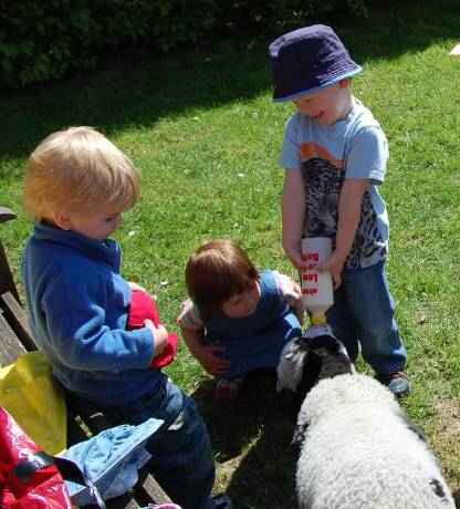 children feeding a lamb